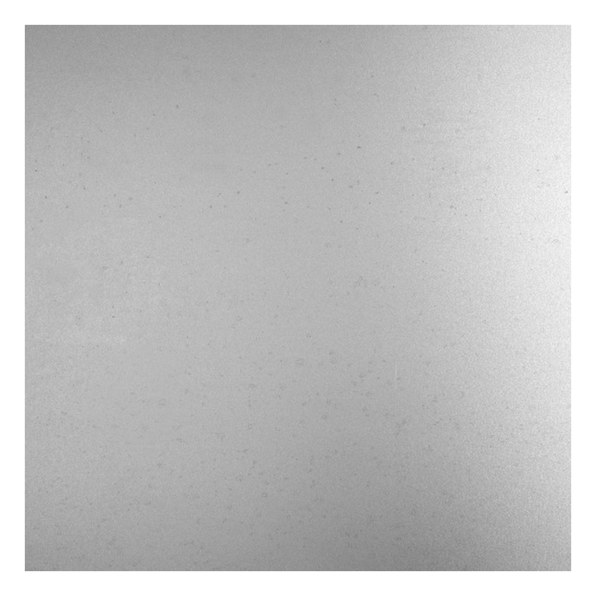 Alberts Glattblech, 200 x 1000 x 0,75 mm, Stahl roh - 1 Stk.